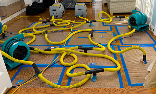 Professional Basement Flood Cleanup technician working in Gallipolis, OH